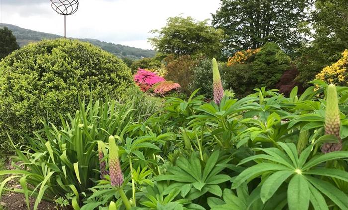 Glanusk Lodge, The Tower, Garden Cottage